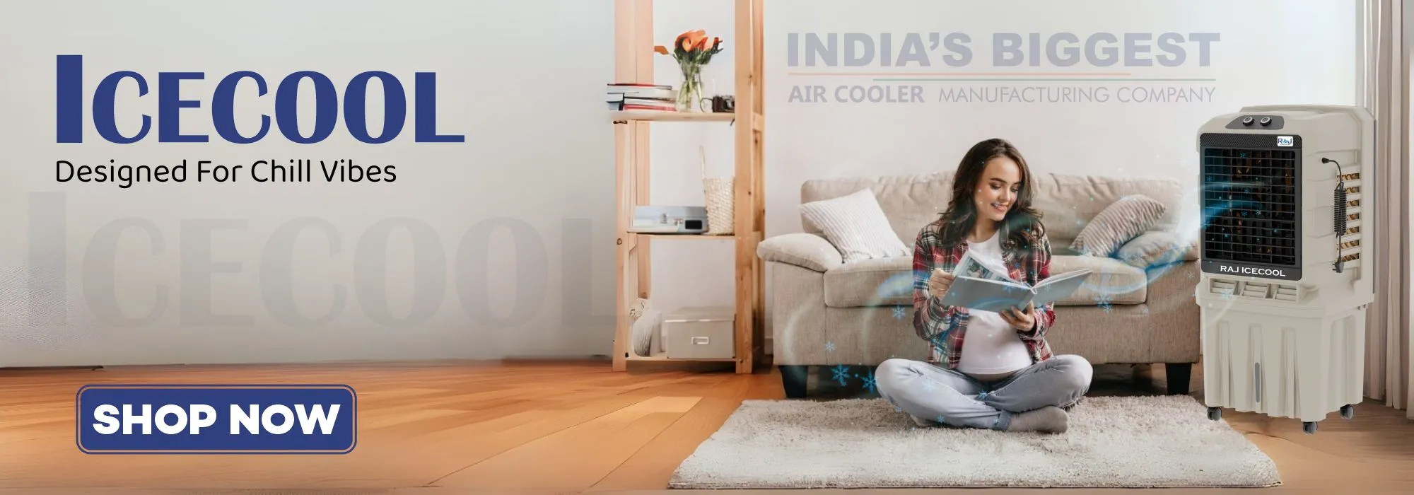 Ice Cool website Banner